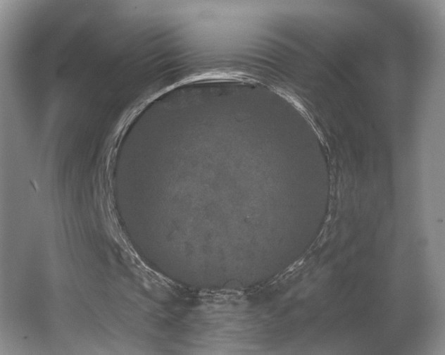 X0000066990337200603241322