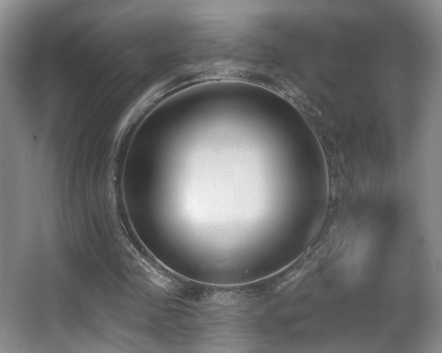 X0000066990341200603241322