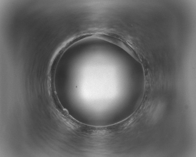 X0000066990342200603241322