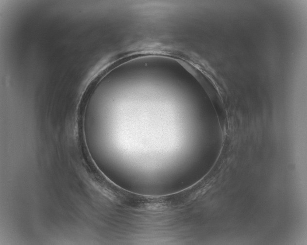 X0000066990344200603241322