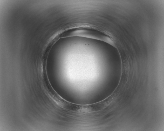 X0000066990350200603241322