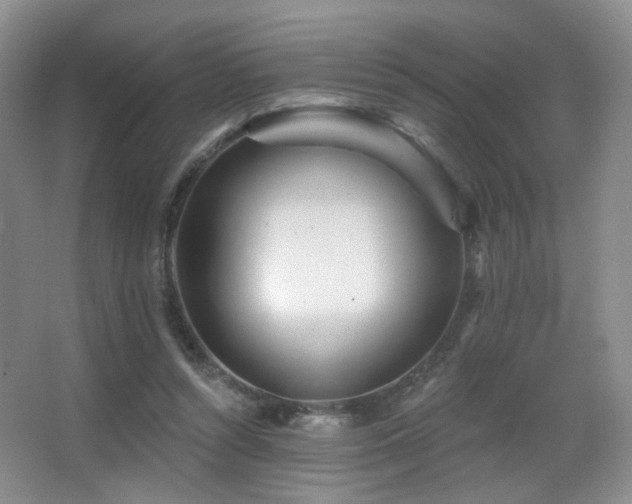 X0000066990352200603241322