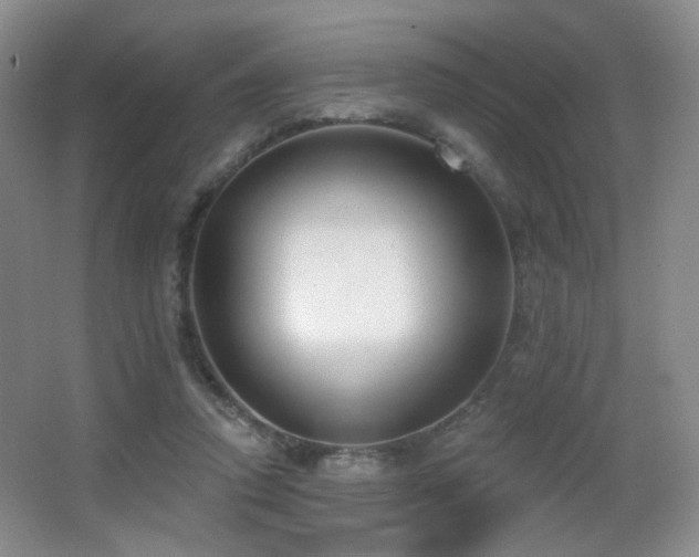 X0000066990354200603241322