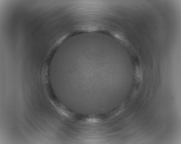 X0000066990360200603241322