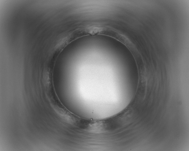 X0000066990362200603241322
