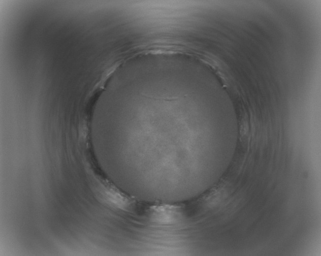 X0000066990367200603241322