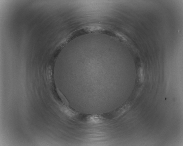 X0000066990372200603241322