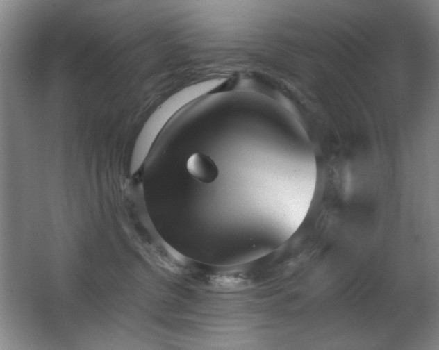 X0000066990380200603241322
