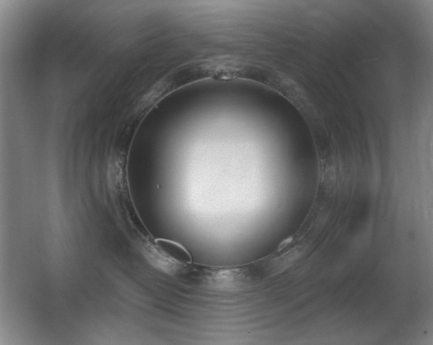 X0000066990382200603241322
