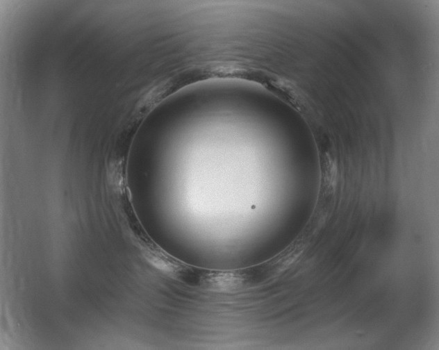 X0000066990383200603241323