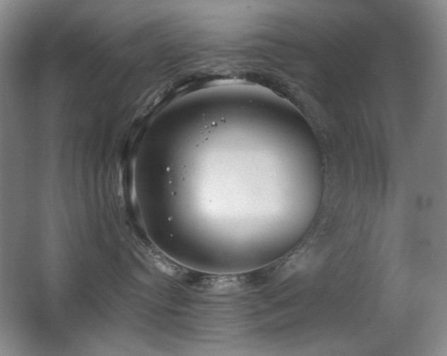 X0000066990384200603241323