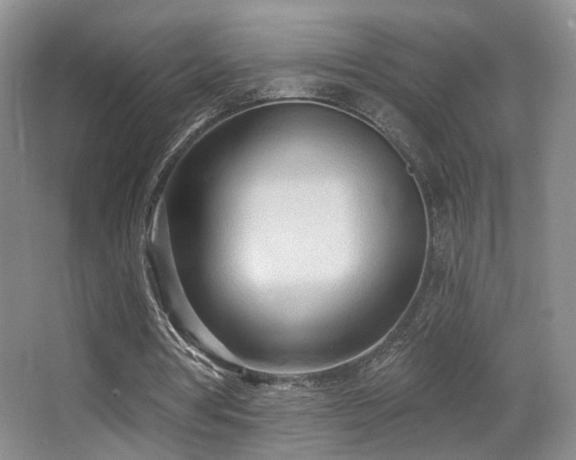 X0000066990386200603241322