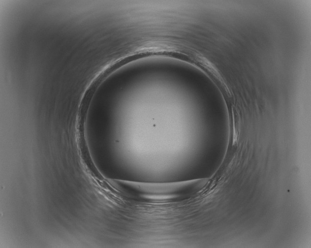 X0000066990387200603241322