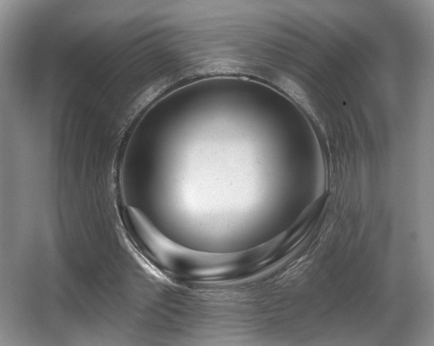 X0000066990389200603241322