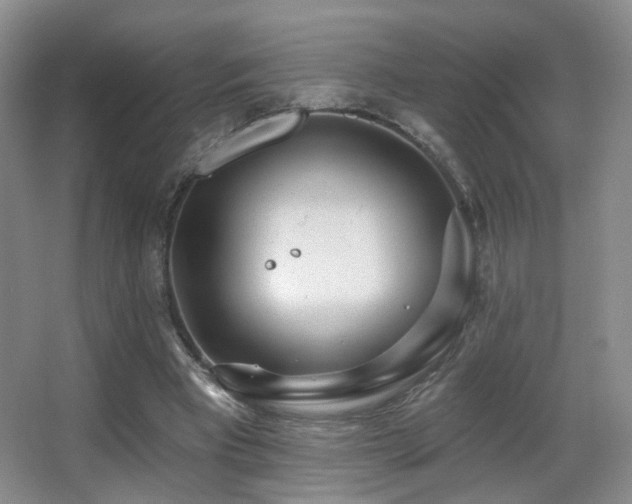 X0000066990393200603241322