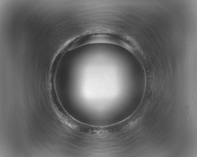 X0000066990395200603241322