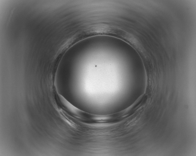 X0000066990397200603241322