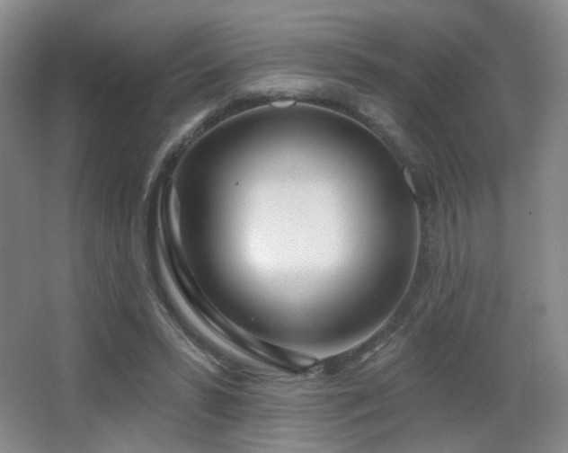 X0000066990399200603241321
