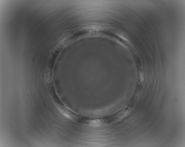 X0000066990411200603241321