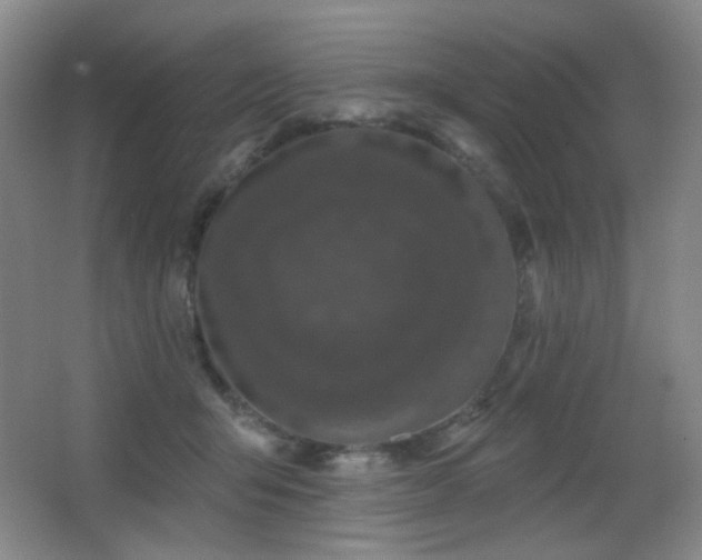 X0000066990415200603241321