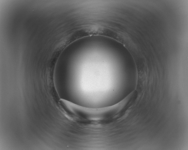 X0000066990416200603241321
