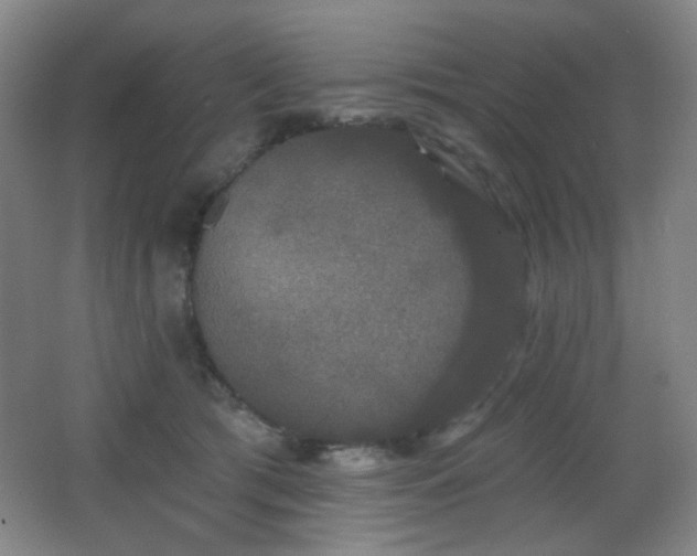 X0000066990417200603241321
