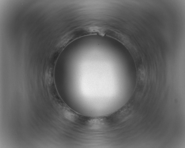 X0000066990422200603241321