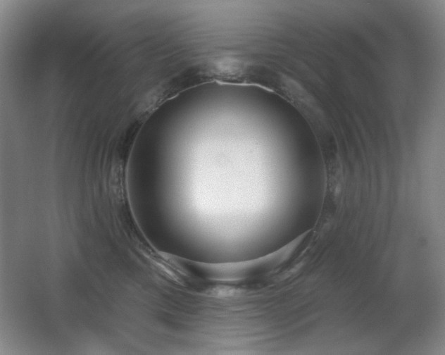 X0000066990425200603241321