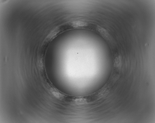 X0000066990426200603241321