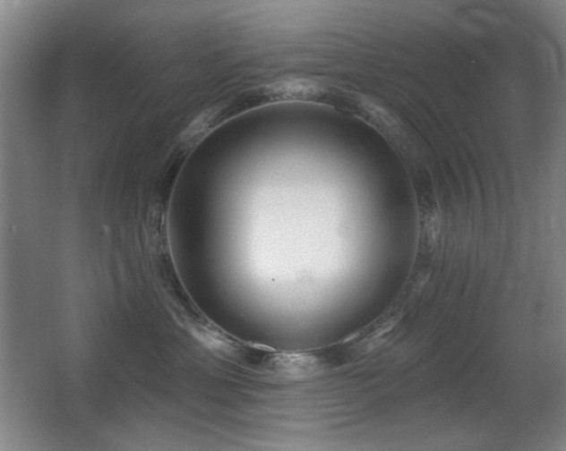 X0000066990429200603241321