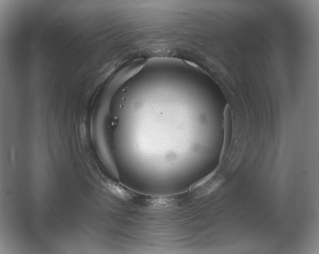 X0000066990432200603241321