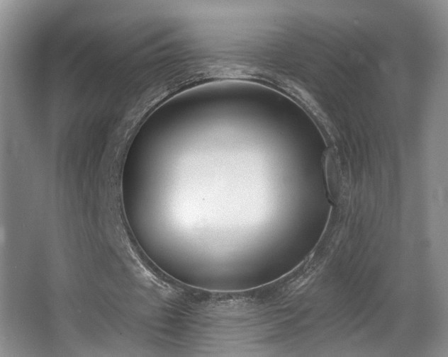 X0000066990433200603241320