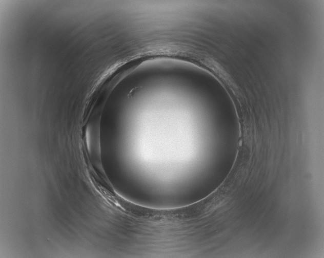 X0000066990434200603241320