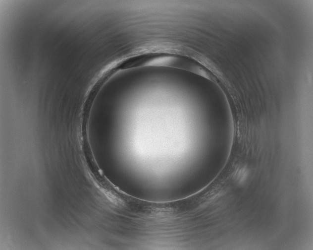X0000066990438200603241320