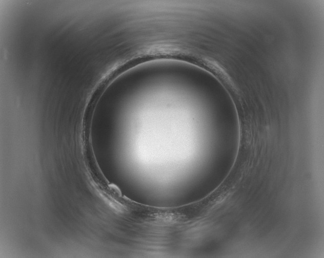 X0000066990439200603241320