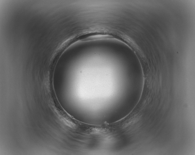 X0000066990442200603241320