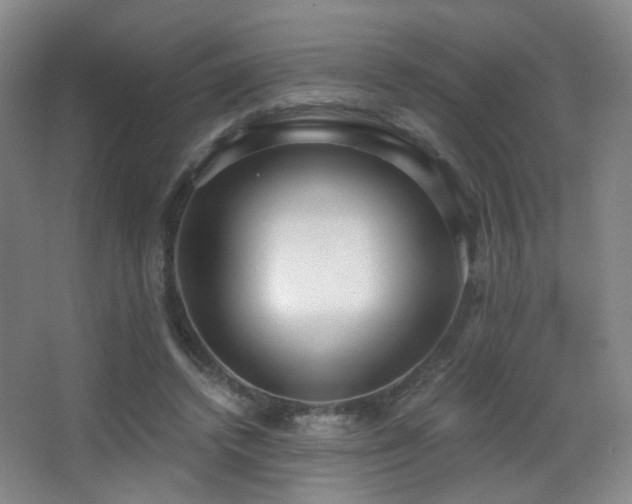 X0000066990448200603241320