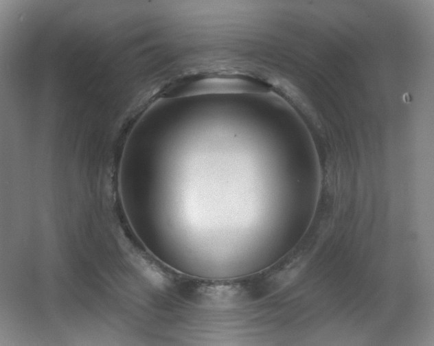 X0000066990449200603241320