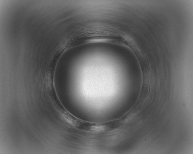 X0000066990457200603241321