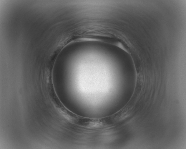 X0000066990458200603241321