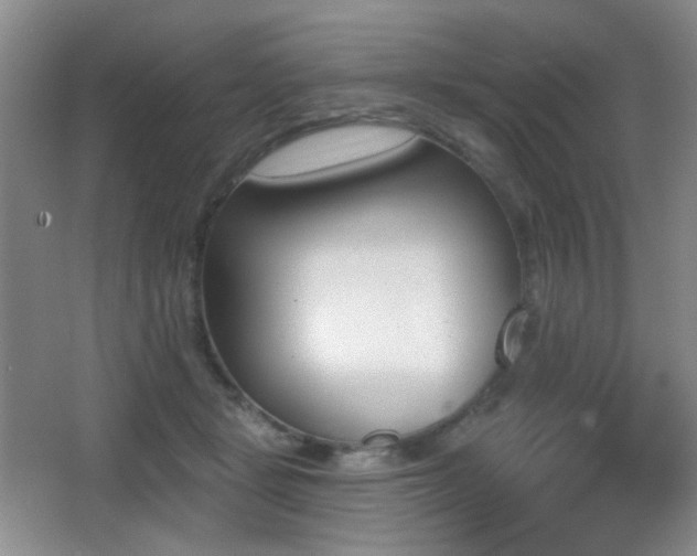 X0000066990461200603241321