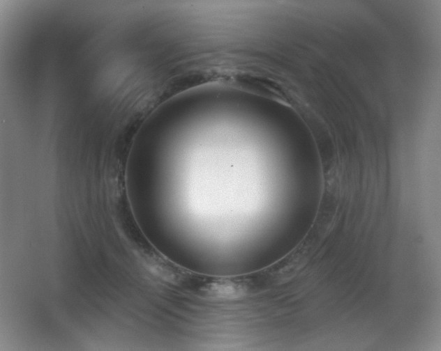 X0000066990464200603241321