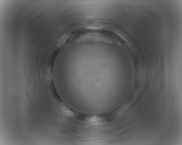 X0000066990467200603241321