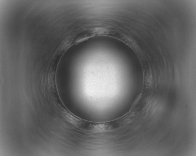 X0000066990473200603241321
