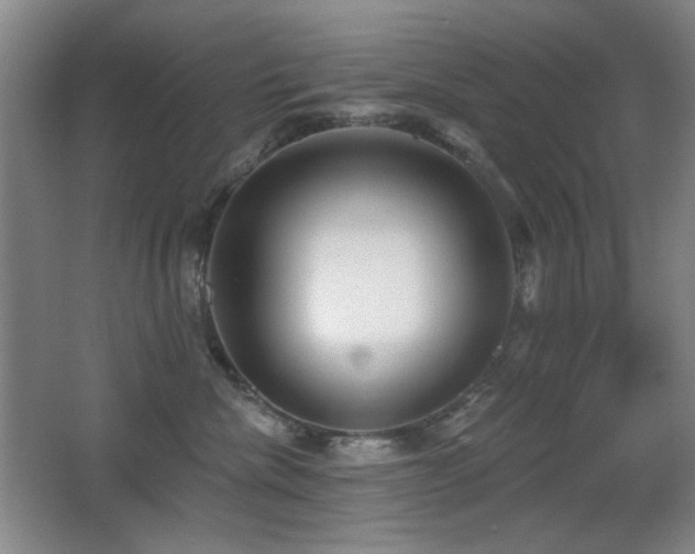 X0000066990476200603241321