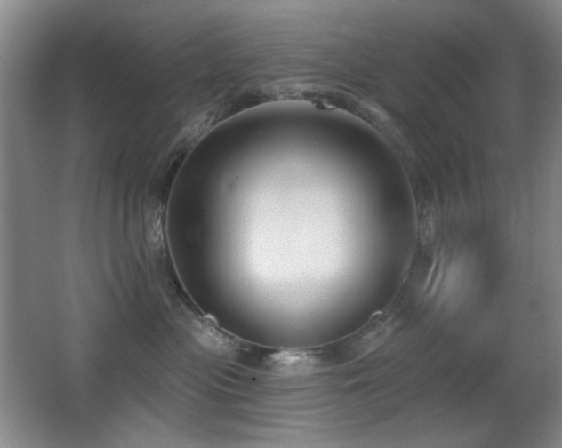 X0000066990477200603241321