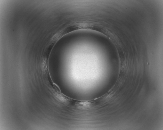 X0000066990478200603241321