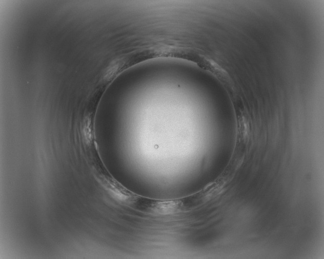 X0000066990479200603241321