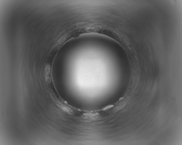 X0000066990480200603241321
