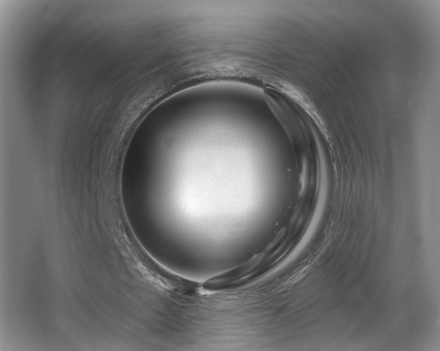 X0000066990481200603241320